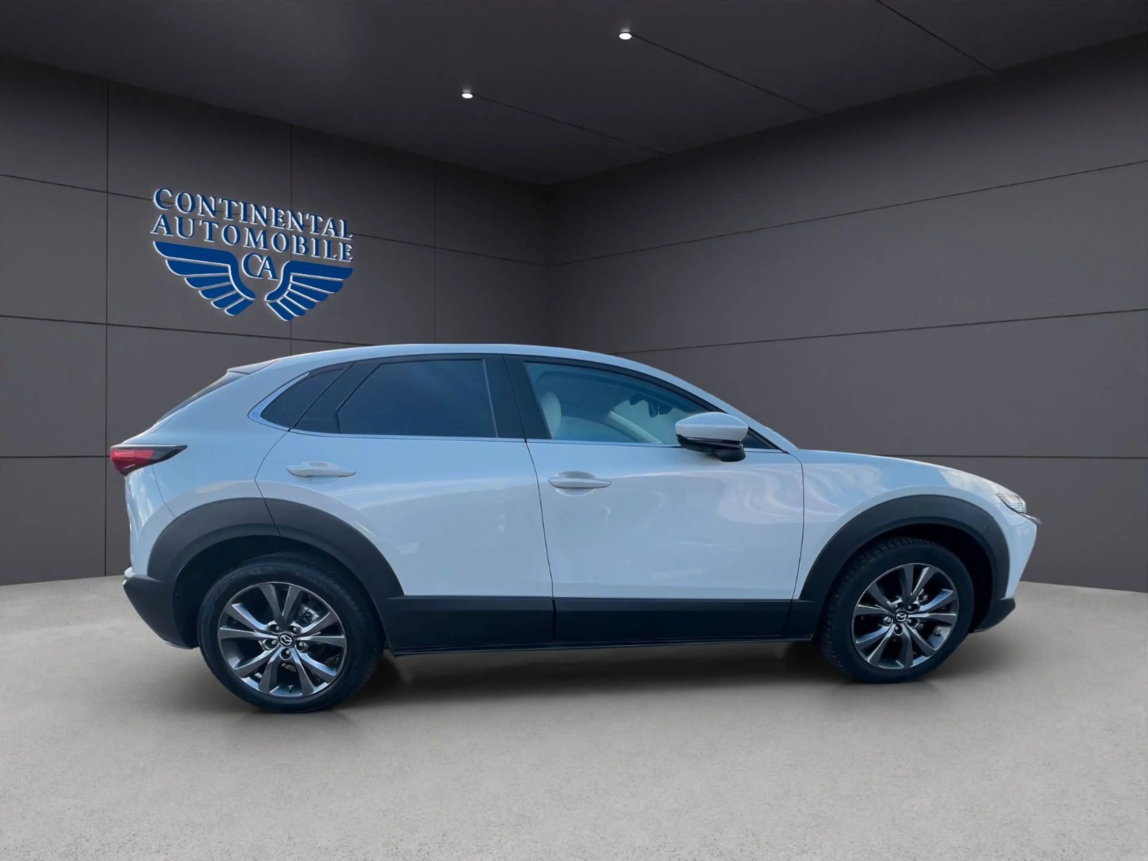 Mazda CX-3 0 Allrad,BHL,EHCKKLAPPE,NAVI,LEDER,ELS,H-UPD — photo 6