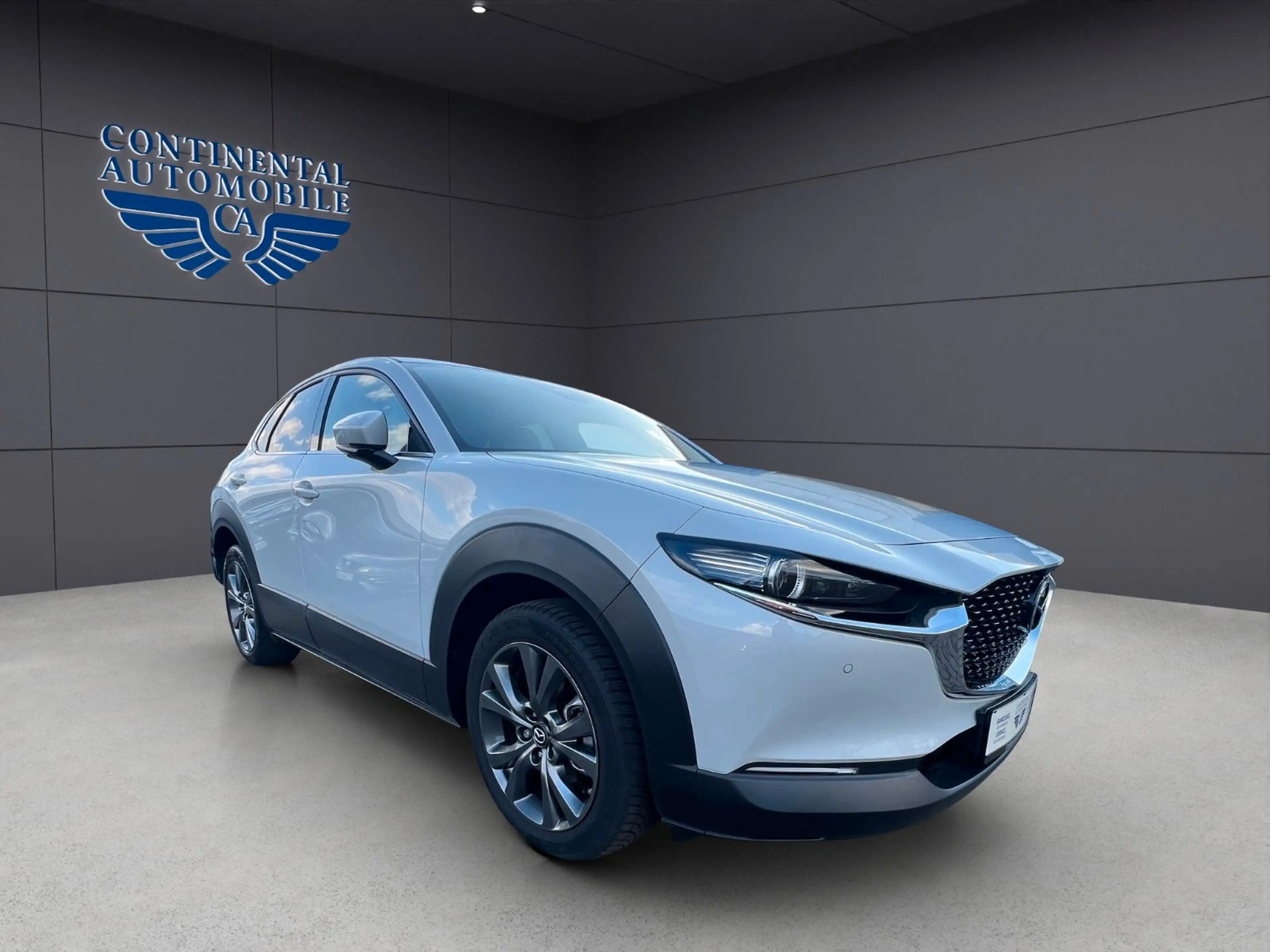 Mazda CX-3 0 Allrad,BHL,EHCKKLAPPE,NAVI,LEDER,ELS,H-UPD — photo 7