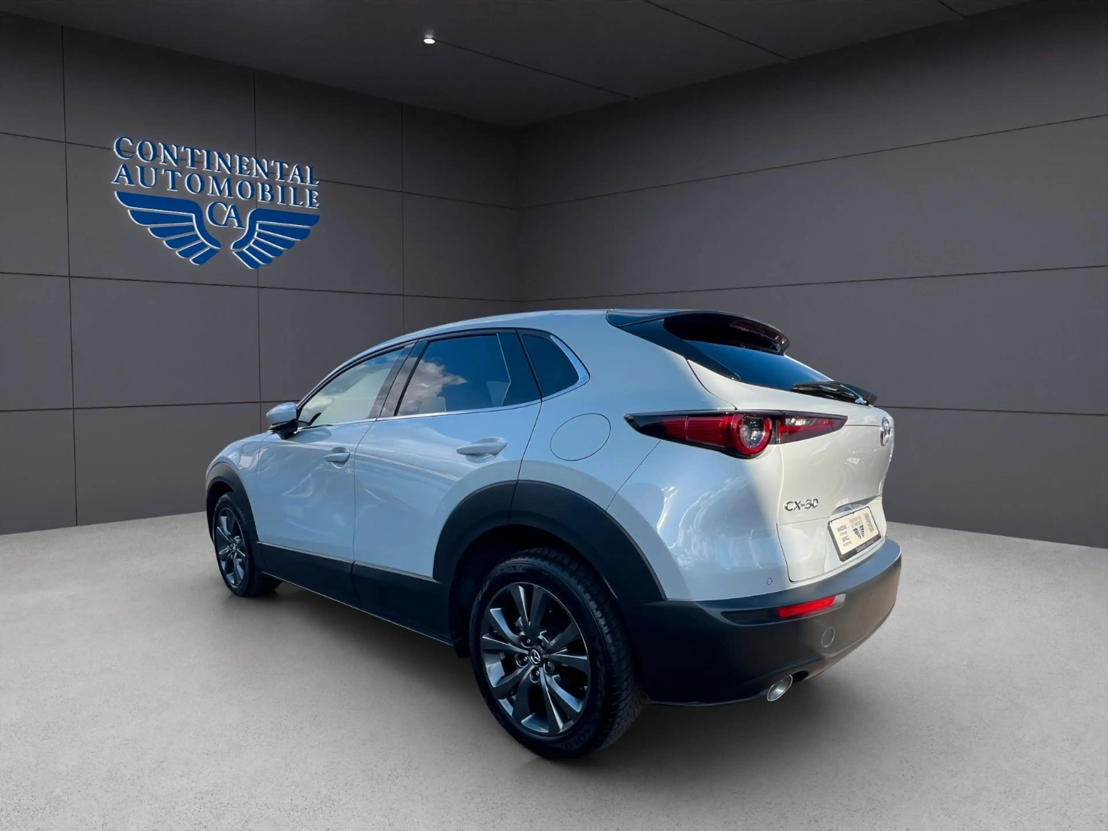 Mazda CX-3 0 Allrad,BHL,EHCKKLAPPE,NAVI,LEDER,ELS,H-UPD — photo 3