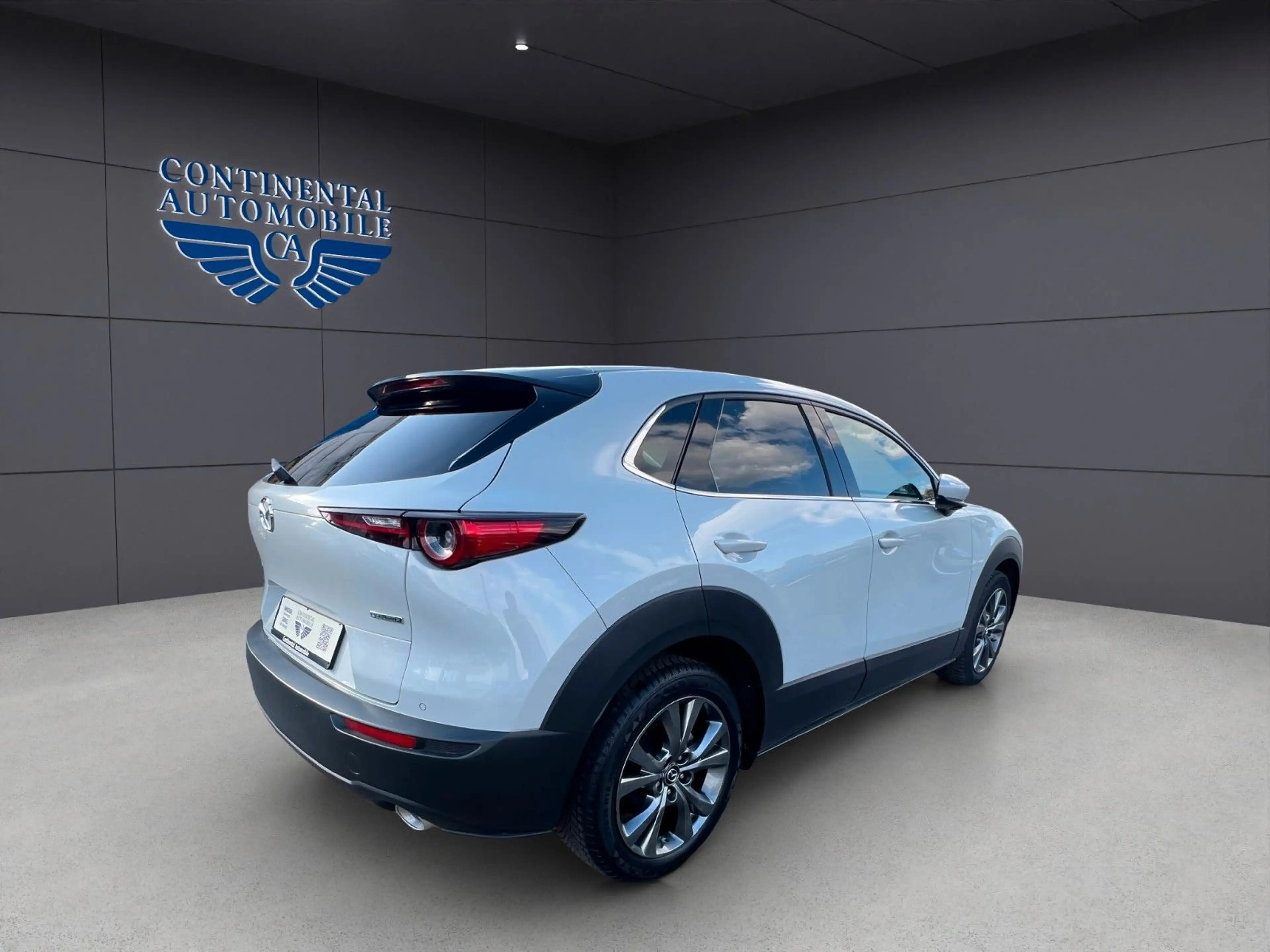 Mazda CX-3 0 Allrad,BHL,EHCKKLAPPE,NAVI,LEDER,ELS,H-UPD — photo 5
