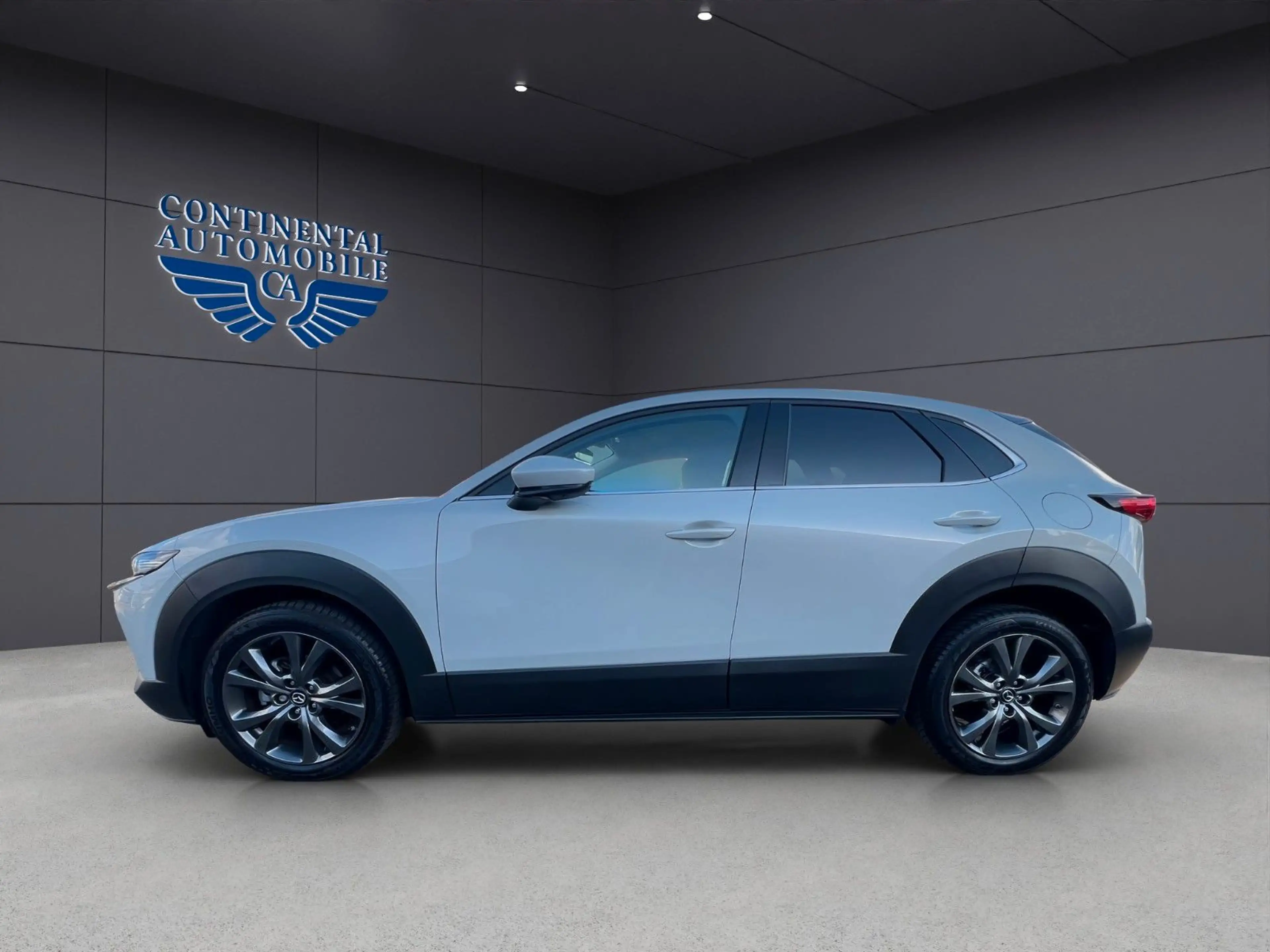 Mazda CX-3 0 Allrad,BHL,EHCKKLAPPE,NAVI,LEDER,ELS,H-UPD — photo 2