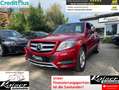 Mercedes-Benz GLK 250 CDI BlueTec 4Matic Facelift-Sport Paket-Top Extras Rot - thumbnail 1