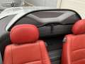 Opel Tigra Twin Top Design Edition Klima, Leder Plateado - thumbnail 19