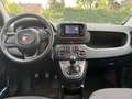 Fiat Panda Fiat Panda Icon Hybrid 70 - EZ 06/2025 - 1.800km Schwarz - thumbnail 5