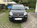 Fiat Panda Fiat Panda Icon Hybrid 70 - EZ 06/2025 - 1.800km Schwarz - thumbnail 3