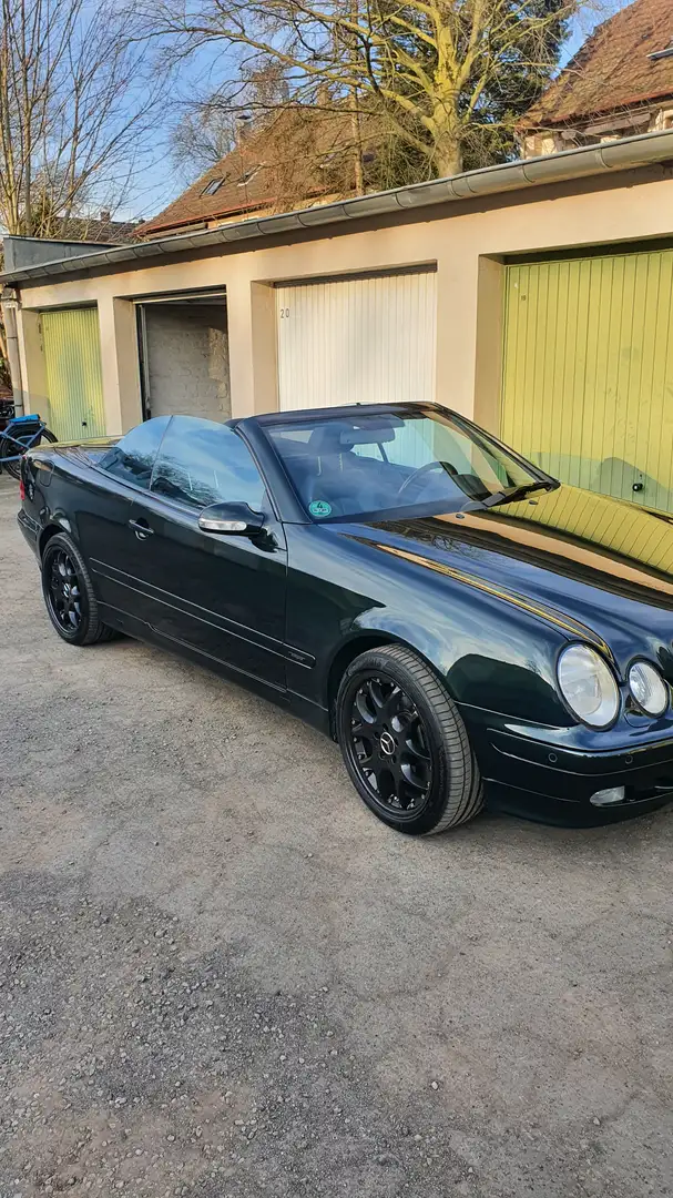 Mercedes-Benz CLK 430 Unikat Designo grün Grün - 1