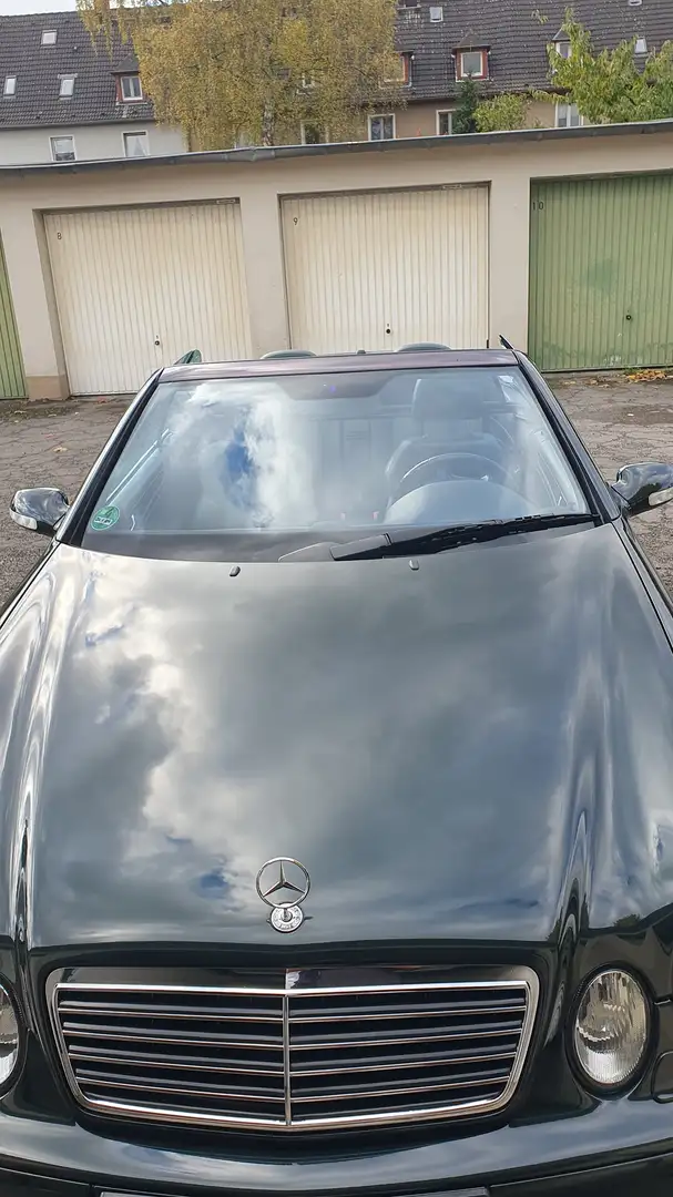 Mercedes-Benz CLK 430 Unikat Designo grün Grün - 2