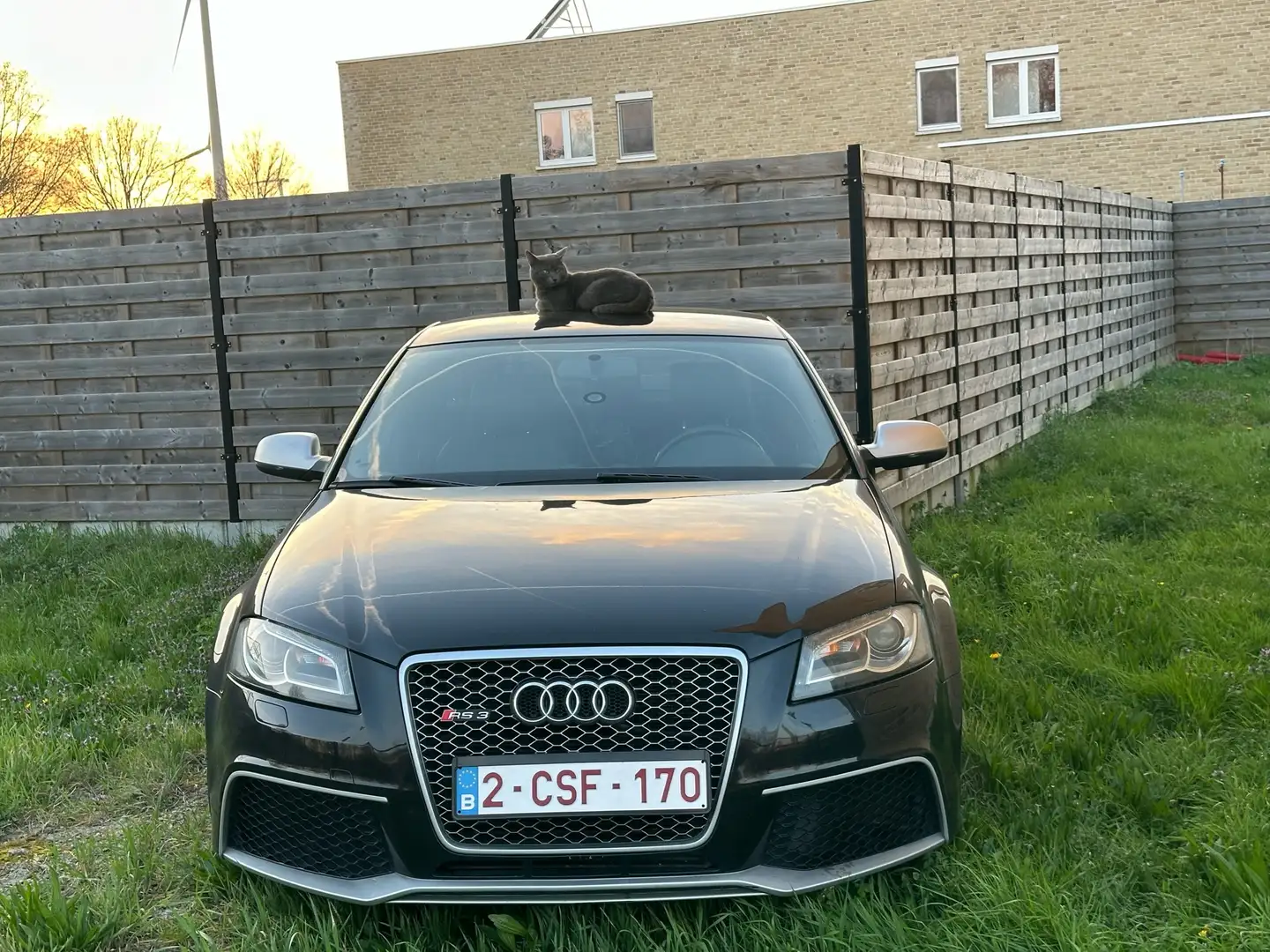 Audi RS3 Sportback S tronic,milltek ,500hp Zwart - 1