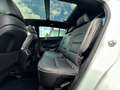 Kia Sportage 1.6 TGDI GT-Line 4WD Bi-Xenon|Panorama Weiß - thumbnail 13