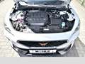 CUPRA Formentor VZ 4Drive 2.0TSI DSG Weiß - thumbnail 14