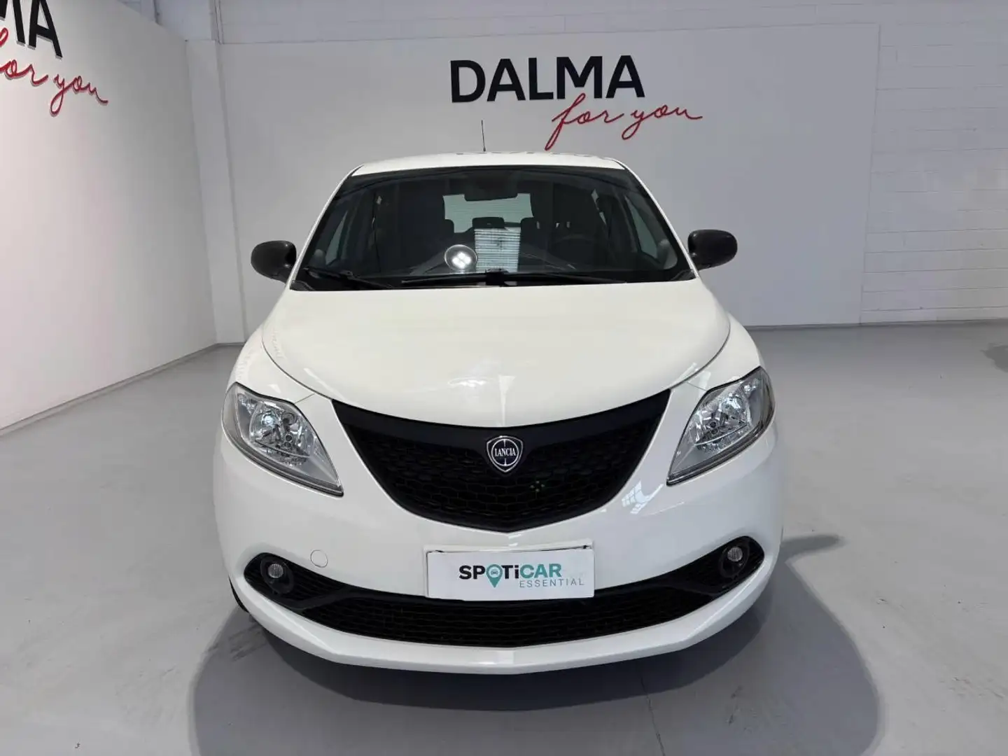 Lancia Ypsilon 5 Porte 0.9 Twinair Ecochic Elefantino Gris - 2