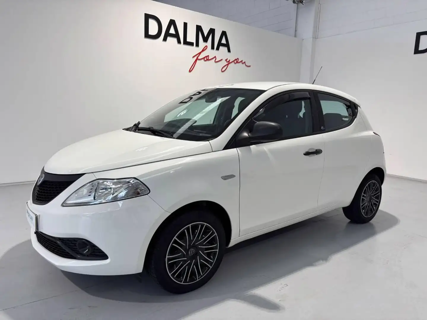 Lancia Ypsilon 5 Porte 0.9 Twinair Ecochic Elefantino Gris - 1