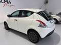 Lancia Ypsilon 5 Porte 0.9 Twinair Ecochic Elefantino Gris - thumbnail 6