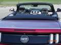 Ford Mustang Mustang Convertible Cabrio 5.0 Ti-VCT V8 Aut. GT Rot - thumbnail 5