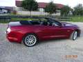 Ford Mustang Mustang Convertible Cabrio 5.0 Ti-VCT V8 Aut. GT Rot - thumbnail 4