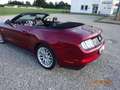 Ford Mustang Mustang Convertible Cabrio 5.0 Ti-VCT V8 Aut. GT Rot - thumbnail 3