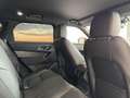 Land Rover Range Rover Velar D300 Dynamic SE Black Pack AHK Weiß - thumbnail 14
