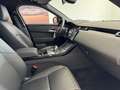 Land Rover Range Rover Velar D300 Dynamic SE Black Pack AHK Weiß - thumbnail 4