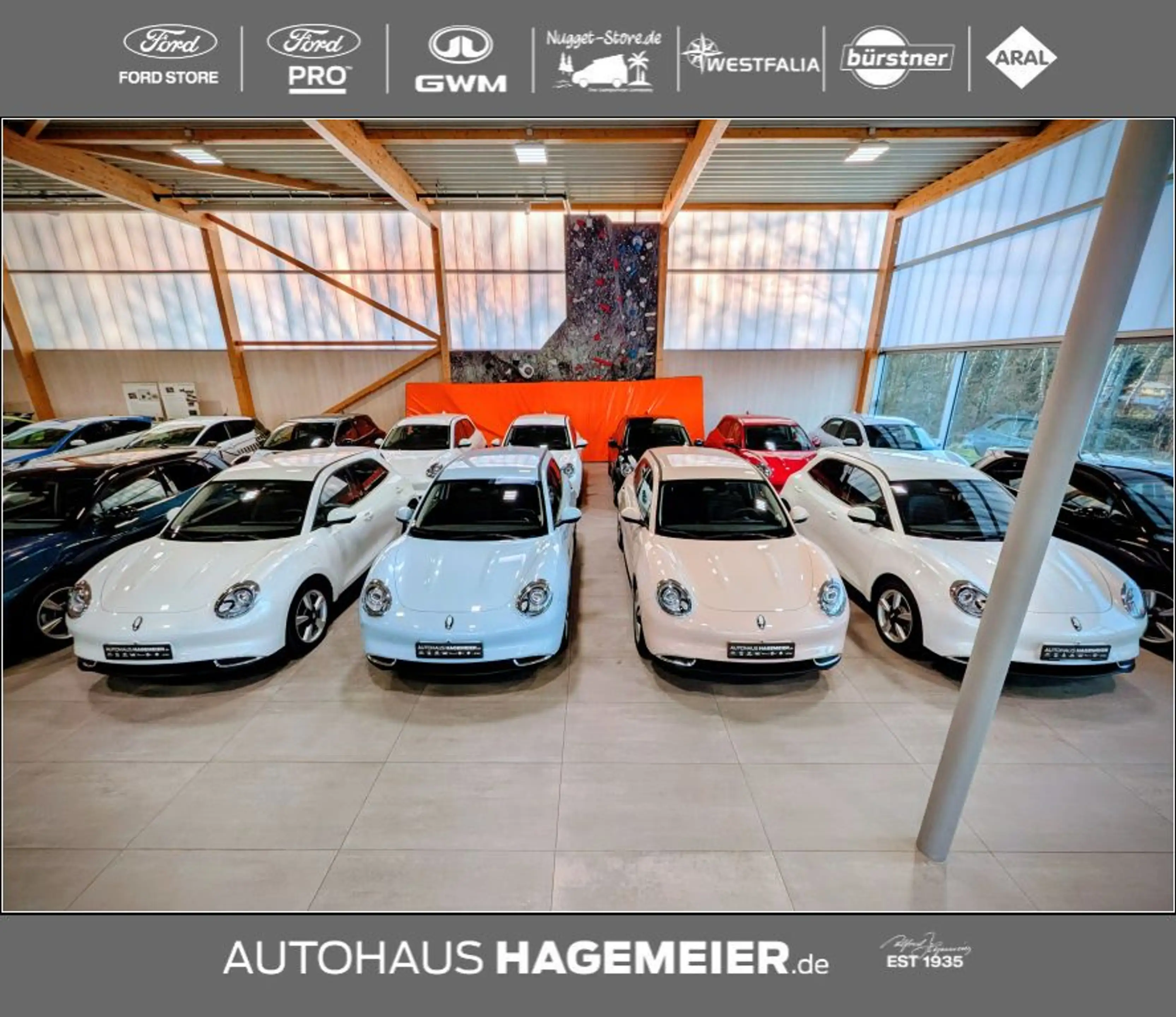 GWM ORA 03 ORA 03 300 >>ehemalige UPE: 39.680 EUR<< — photo 2