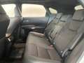Lexus RX 450h 450h+ Executive+ Wit - thumbnail 18