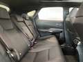 Lexus RX 450h 450h+ Executive+ Wit - thumbnail 19