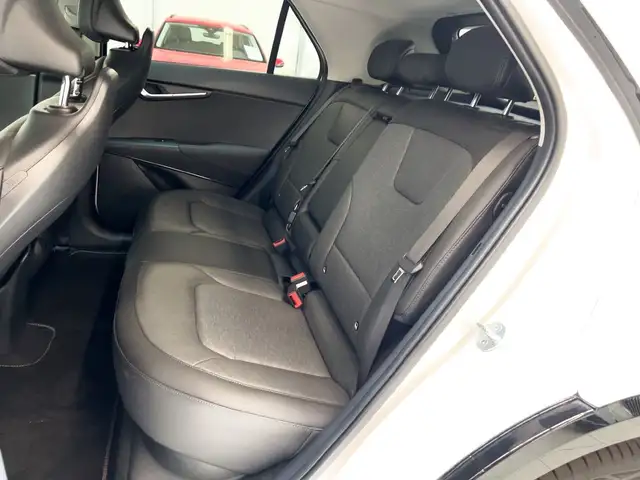 Kia Niro view 15