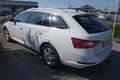 Skoda Superb Kombi 1,5 TSI ACT Ambition DSG*AHK/Kamera/Virtual* Weiß - thumbnail 5
