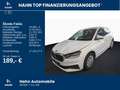 Skoda Fabia 1.0TSI Active Smartlink Surround Sitzheiz Weiß - thumbnail 2