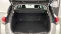 Renault Scenic 1.3 TCe 140ch FAP Limited - thumbnail 14
