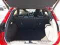 Ford Puma 1.5 EcoBoost ST X LED B&O Kamera Pano DAB PDC Rosso - thumbnail 12