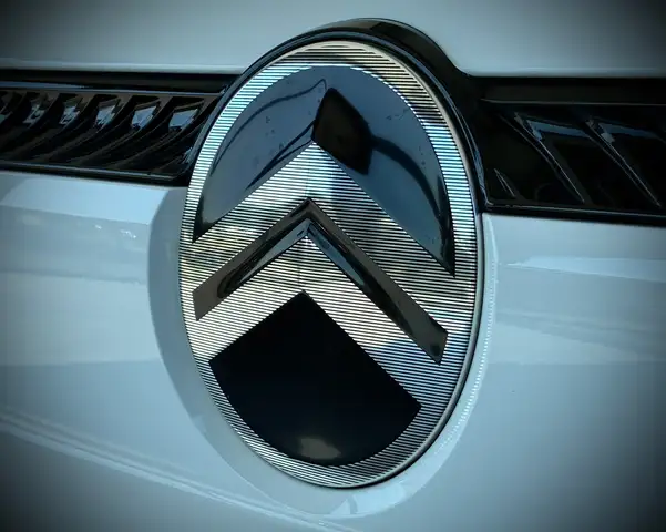 Citroen Berlingo view 4
