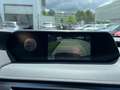 Lexus UX 250h Style Edition *LED*CarPlay*CAM*Spurhalteass* Weiß - thumbnail 27