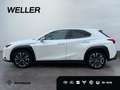 Lexus UX 250h Style Edition *LED*CarPlay*CAM*Spurhalteass* Weiß - thumbnail 5