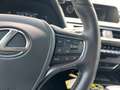 Lexus UX 250h Style Edition *LED*CarPlay*CAM*Spurhalteass* Weiß - thumbnail 25