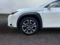 Lexus UX 250h Style Edition *LED*CarPlay*CAM*Spurhalteass* Weiß - thumbnail 21