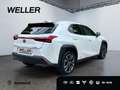 Lexus UX 250h Style Edition *LED*CarPlay*CAM*Spurhalteass* Weiß - thumbnail 18