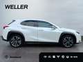 Lexus UX 250h Style Edition *LED*CarPlay*CAM*Spurhalteass* Weiß - thumbnail 9