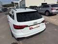 Audi A4 45 TFSI qu 2x S line S tro*B&O*HUD*Pano Weiß - thumbnail 25