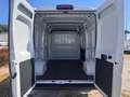 Fiat DUCATO 2.2MJT 120CV  KM0   PREZZO + IVA Bianco - thumbnail 5