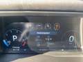 Ford Ranger 4WD 3.0 Ecoboost Raptor Doppelkabine e- Gris - thumbnail 15