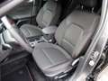 Ford Focus ST-Line X  Hybrid Winter-Paket/Easy-Parking-Paket/ Grau - thumbnail 13