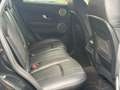 Land Rover Range Rover Evoque SE | Leder | PDC Noir - thumbnail 12
