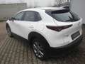 Mazda CX-30 SKYACTIV-G 2.0 150PS M Hybrid Allrad / Head-Up Dis Weiß - thumbnail 7