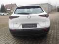 Mazda CX-30 SKYACTIV-G 2.0 150PS M Hybrid Allrad / Head-Up Dis Weiß - thumbnail 6