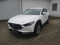 Mazda CX-30 SKYACTIV-G 2.0 150PS M Hybrid Allrad / Head-Up Dis Weiß - thumbnail 1