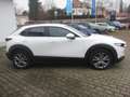 Mazda CX-30 SKYACTIV-G 2.0 150PS M Hybrid Allrad / Head-Up Dis Weiß - thumbnail 4