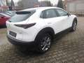 Mazda CX-30 SKYACTIV-G 2.0 150PS M Hybrid Allrad / Head-Up Dis Weiß - thumbnail 5