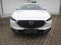 Mazda CX-30 SKYACTIV-G 2.0 150PS M Hybrid Allrad / Head-Up Dis Weiß - thumbnail 2
