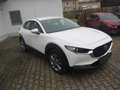 Mazda CX-30 SKYACTIV-G 2.0 150PS M Hybrid Allrad / Head-Up Dis Weiß - thumbnail 3