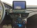 Ford Focus Focus 1.5 EcoBlue 120 CV 5p. ST-Line Blu/Azzurro - thumbnail 7